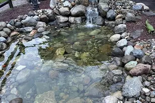 543 Green Valley Rd, Langhorne, PA 19047 - Photo 28