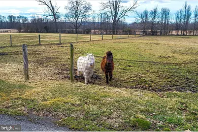 5453 York Road, New Hope, PA 18938 - Photo 34