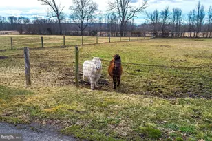 5453 York Rd., New Hope, PA 18938 - Photo 34