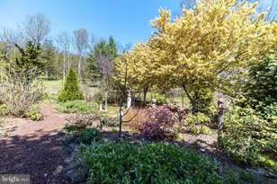 23 Lily Valley Rd, Erwinna, PA 18920 - Photo 58