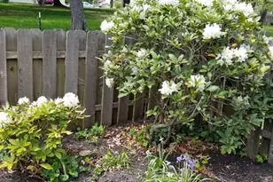 25 Independence Pl, Newtown, PA 18940 - Photo 32