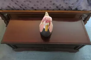 737 Tennyson Dr, Warminster, PA 18974 - Photo 20