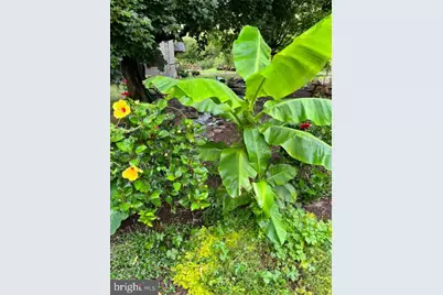 448 Kellers Church Road, Ottsville, PA 18942 - Photo 56