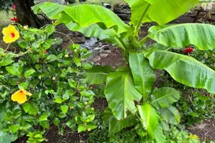 448 Kellers Church Rd, Ottsville, PA 18942 - Photo 56