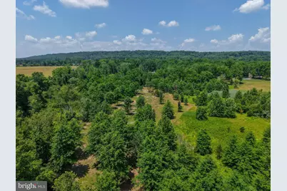 6298 Pidcock Creek Road, New Hope, PA 18938 - Photo 4