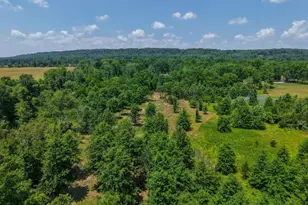 6298 Pidcock Creek Rd, New Hope, PA 18938 - Photo 4