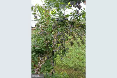 113 Cherry Street, Richlandtown, PA 18955 - Photo 52