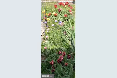 113 Cherry Street, Richlandtown, PA 18955 - Photo 54