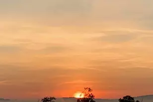 820 Spring Hill Rd, Riegelsville, PA 18077 - Photo 58