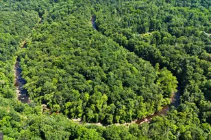 26 Wormansville Rd, Pipersville, PA 18947 - Photo 86