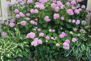 1565 Butterfly Ct, Yardley, PA 19067 - Photo 36