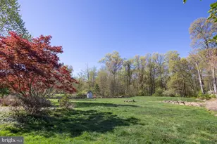 1684 Chestnut Ridge Rd, Upper Black Eddy, PA 18972 - Photo 28