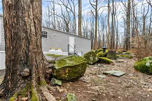 740 Lonely Cottage Rd, Upper Black Eddy, PA 18972 - Photo 28