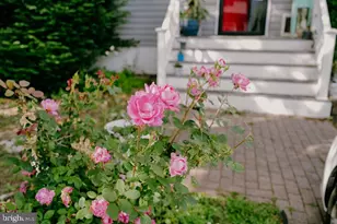 389 Juniper St, Warminster, PA 18974 - Photo 6