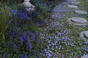 107 Carousel Cir, Doylestown, PA 18901 - Photo 28