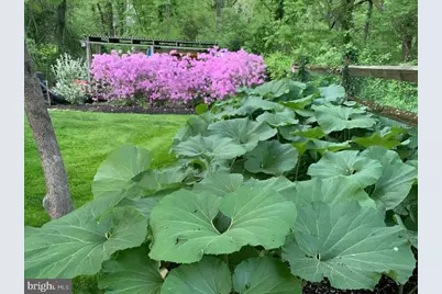 92 Oak Drive, Doylestown, PA 18901 - Photo 54