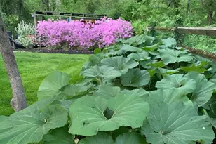 92 Oak Dr, Doylestown, PA 18901 - Photo 54