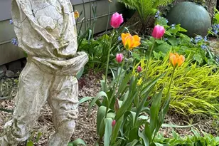 3673 River Rd, Lumberville, PA 18933 - Photo 44