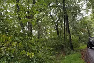 Lot 094 Fireline Rd, Kintnersville, PA 18930 - Photo 1