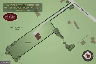 1482 Chestnut Ridge Rd, Upper Black Eddy, PA 18972 - Photo 6