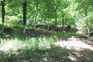 4830 River, New Hope, PA 18938 - Photo 30