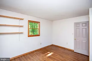 1505 Lonely Cottage Rd, Upper Black Eddy, PA 18972 - Photo 66