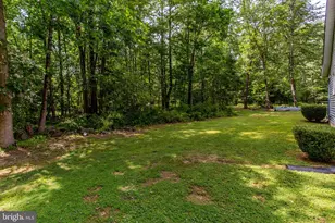 1505 Lonely Cottage Rd, Upper Black Eddy, PA 18972 - Photo 36