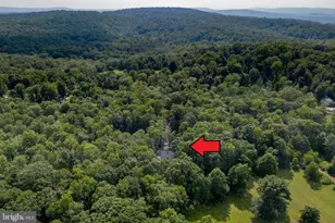 1505 Lonely Cottage Rd, Upper Black Eddy, PA 18972 - Photo 46