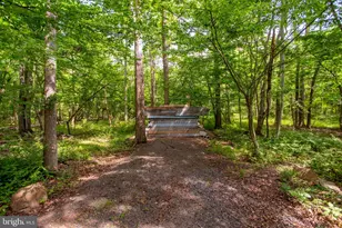 1505 Lonely Cottage Rd, Upper Black Eddy, PA 18972 - Photo 34