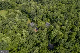 1505 Lonely Cottage Rd, Upper Black Eddy, PA 18972 - Photo 40