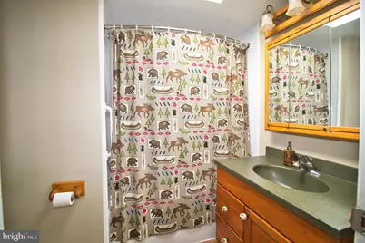 1005 Callowhill Road, Perkasie, PA 18944 - Photo 16