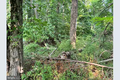 1442 Lot 1 Oxford Valley Rd, Yardley, PA 19067 - Photo 24