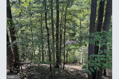 6489 Old Carversville Road, Carversville, PA 18913 - Photo 28