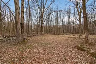 2197 Buck Run Rd, Quakertown, PA 18951 - Photo 34
