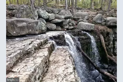 1863 Ringing Rocks Road, Upper Black Eddy, PA 18972 - Photo 6