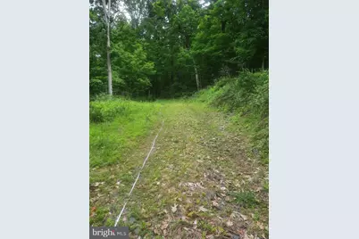 5968 State Park Road, Pipersville, PA 18947 - Photo 6