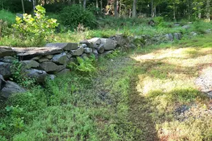 5968 State Park Rd, Pipersville, PA 18947 - Photo 1