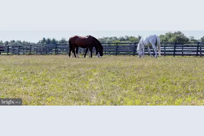 255 Sheaffer Road, Carlisle, PA 17013 - Photo 20