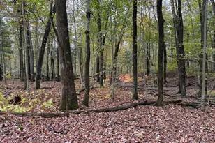 E Locust St, Mount Holly Springs, PA 17065 - Photo 1