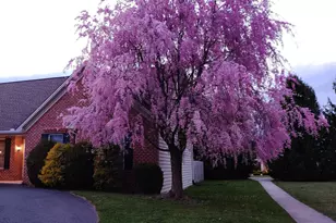 5525 Barbara Dr, Mechanicsburg, PA 17050 - Photo 6