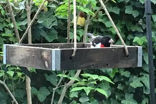 136 W Pomfret St, Carlisle, PA 17013 - Photo 52