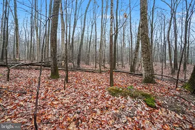 Lot Indian Peg Road, Boiling Springs, PA 17007 - Photo 2