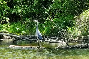 189 Highlander Wy, Boiling Springs, PA 17007 - Photo 66