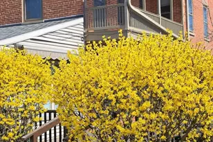 304 S West St, Carlisle, PA 17013 - Photo 10