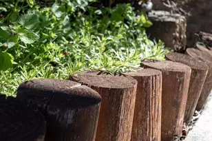 202 Walnut St, Lemoyne, PA 17043 - Photo 34