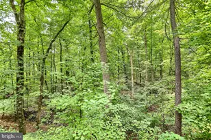 55 Horseshoe Rd, Carlisle, PA 17015 - Photo 38