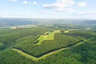 207 Saw Mill Rd, Weatherly, PA 18255 - Photo 54