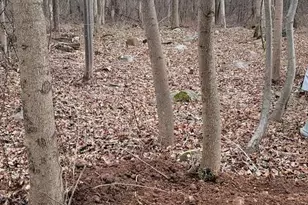 915 Narragansett Trail, Albrightsville, PA 18210 - Photo 1