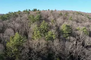 1556 Mill Rd, Lehighton, PA 18235 - Photo 6