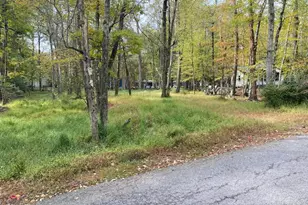 25 Maplewood Ln, Lake Harmony, PA 18624 - Photo 1